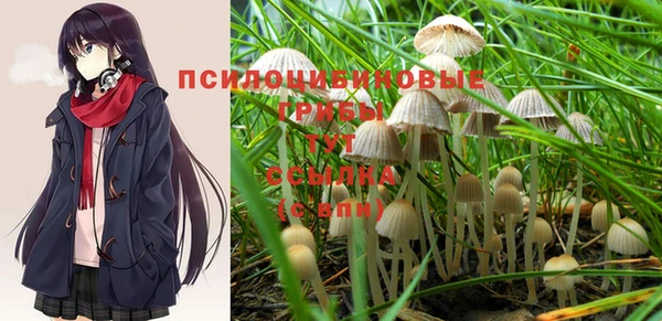 альфа пвп Карпинск