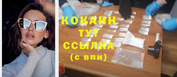 молекула духа Касимов