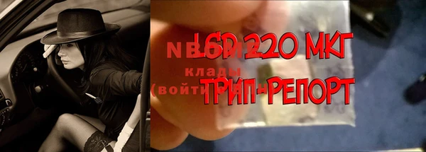 молекула духа Касимов