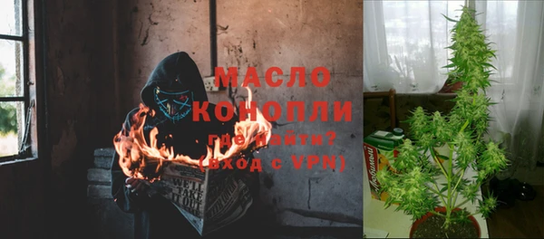 молекула духа Касимов