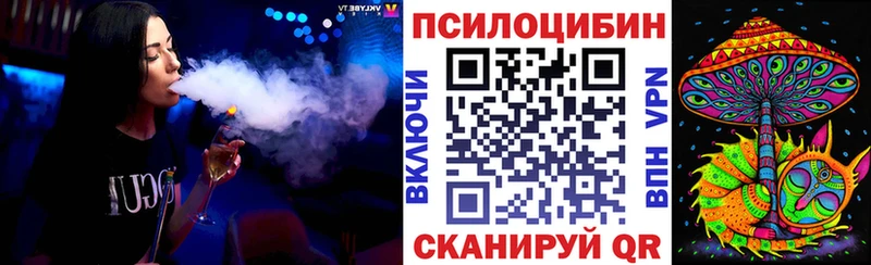 Купить закладки  Венёв  Псилоцибиновые грибы мухоморы 
